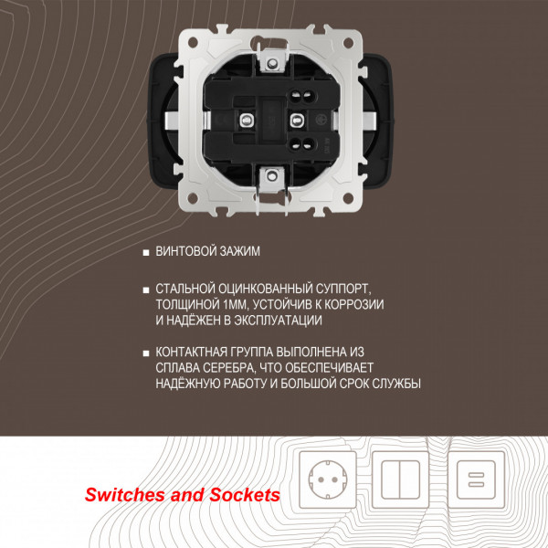 Розетка двойная с заземлением, 16A 250V 205.40-2.black