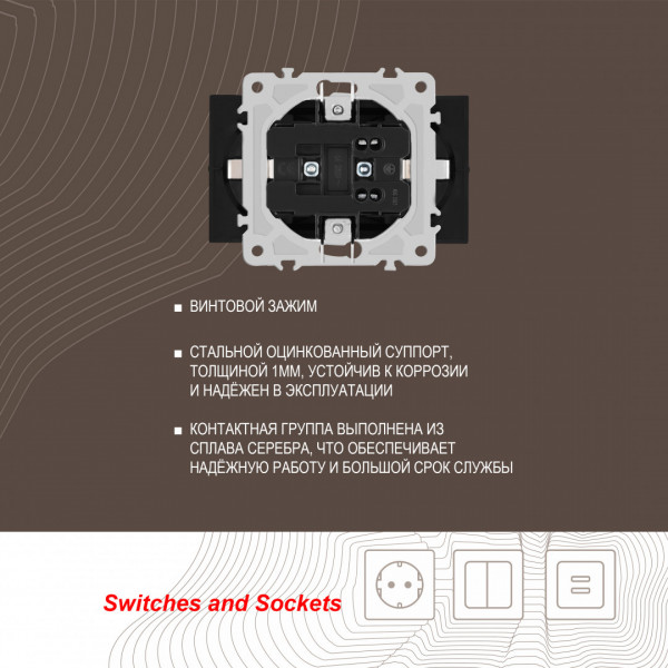 Розетка двойная с заземлением, 16A 250V 206.40-2.black