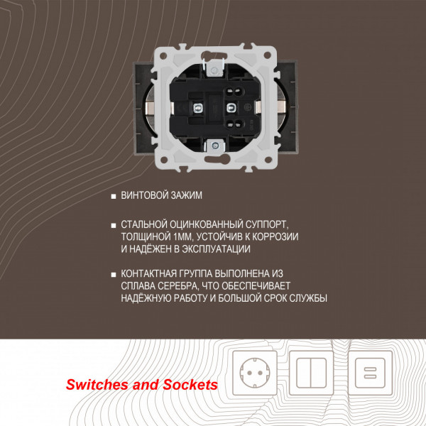 Розетка двойная с заземлением, 16A 250V 206.40-2.shampan