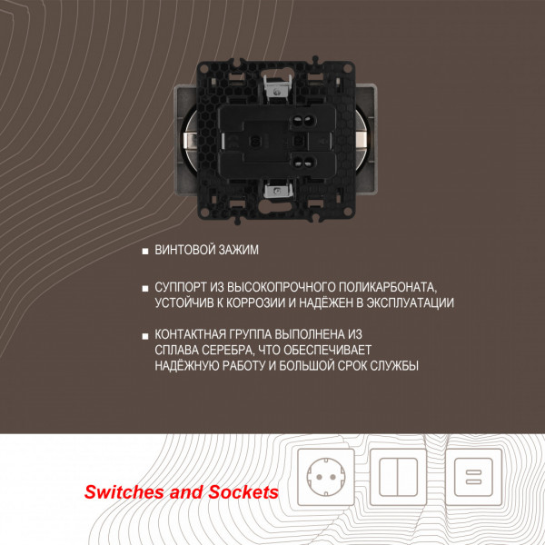 Розетка двойная с заземлением, 16A 250V 217.40-2.shampan