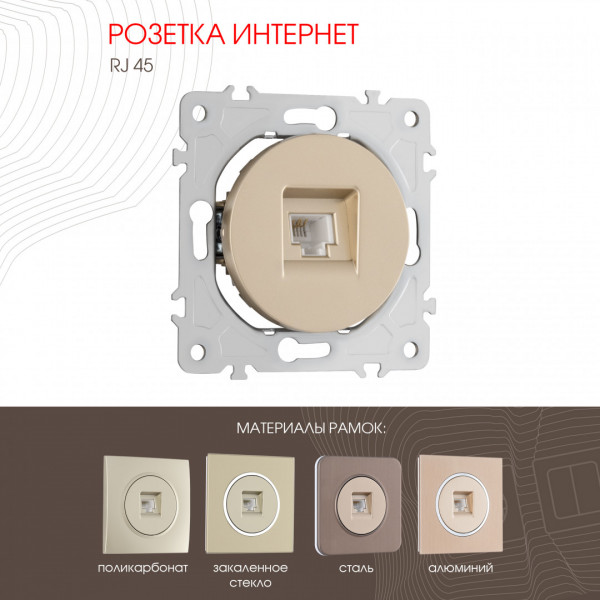 Розетка интернет, RJ45 202.45-1.shampan