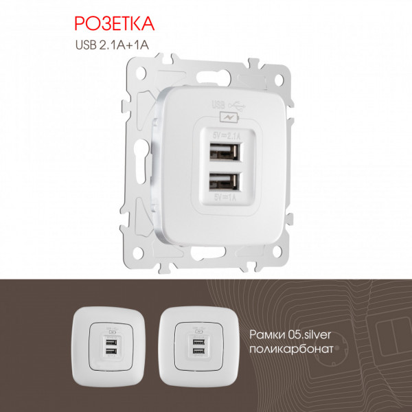 Розетка USB 2.1А+1А 205.46-1.silver