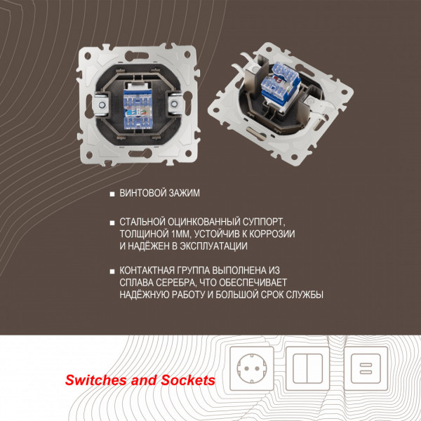 Розетка интернет, RJ45 205.45-1.shampan