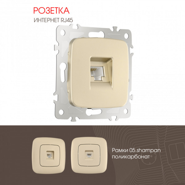 Розетка интернет, RJ45 205.45-1.shampan