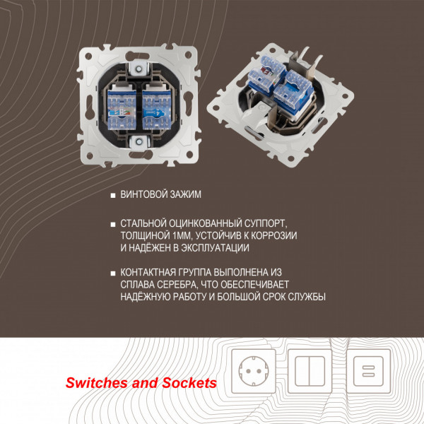 Розетка телефонная RJ11 + компьютерная RJ45 205.44-1.shampan