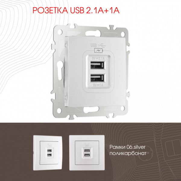 Розетка USB 2.1А+1А 206.46-1.silver