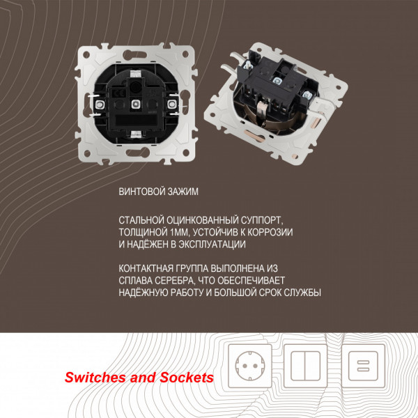 Розетка с заземлением, шторками и защитной крышкой, 16A 250V 206.41-1.shampan