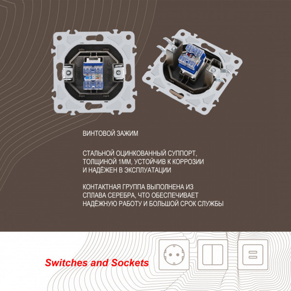 Розетка интернет, RJ45 206.45-1.shampan