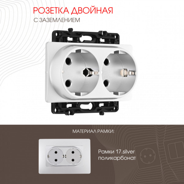 Розетка двойная с заземлением, 16A 250V 217.40-2.silver