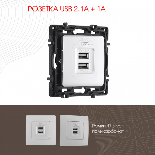 Розетка USB 2.1А+1А 217.46-1.silver