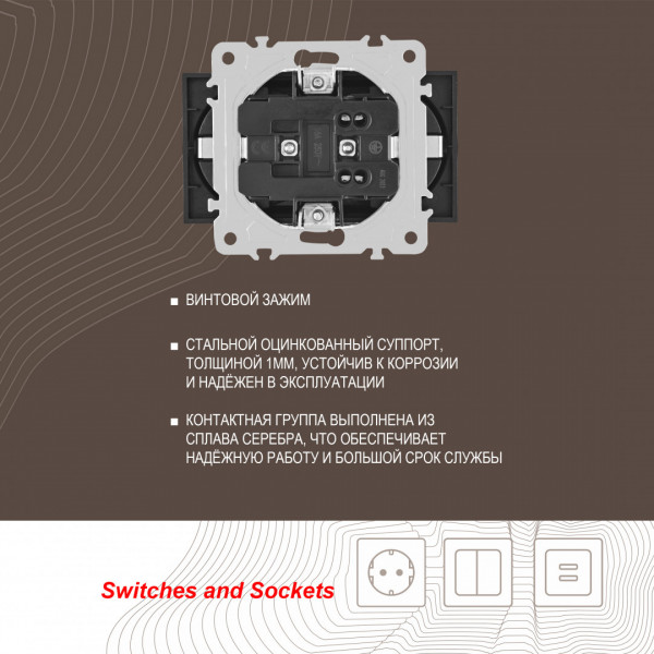 Розетка двойная с заземлением, 16A 250V 203.40-2.black