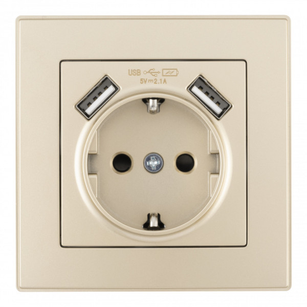 Комплект розетки с заземлением и шторками + 2 USB и рамкой однопостовой, цвет шампань, материал рамки - пластик, SET06-1-47-1 shampan