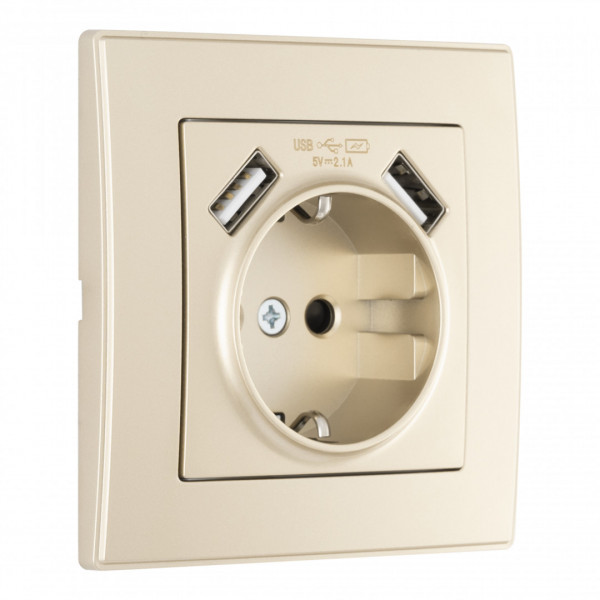 Комплект розетки с заземлением и шторками + 2 USB и рамкой однопостовой, цвет шампань, материал рамки - пластик, SET06-1-47-1 shampan