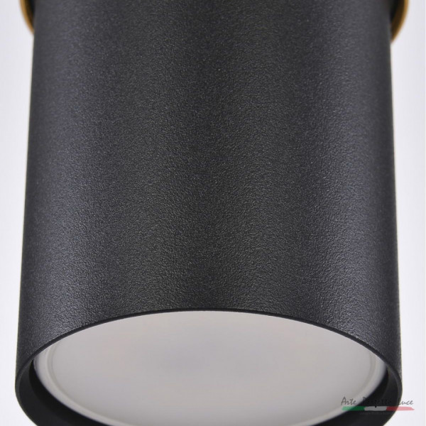 Подвесной светильник APL2232024CN SBK+SGD